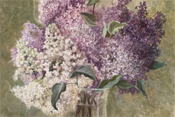 ������ �������� - "������", 2007�., ������, ��������, 73x54